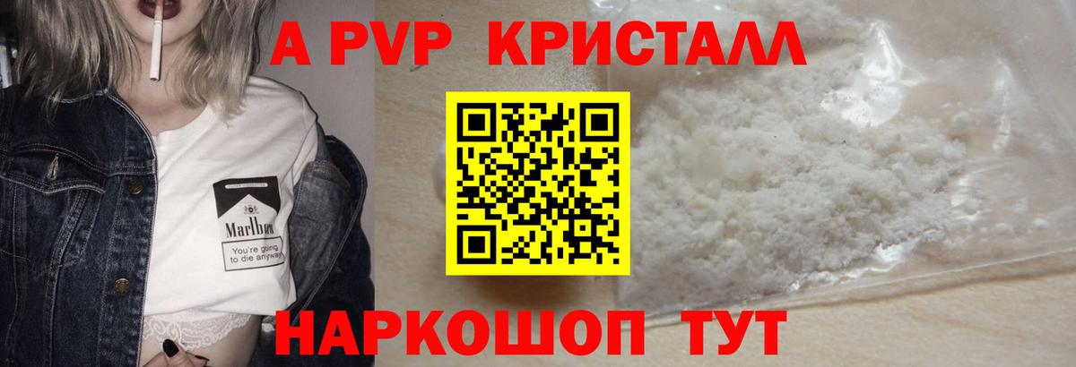 Альфа ПВП СК Ковров