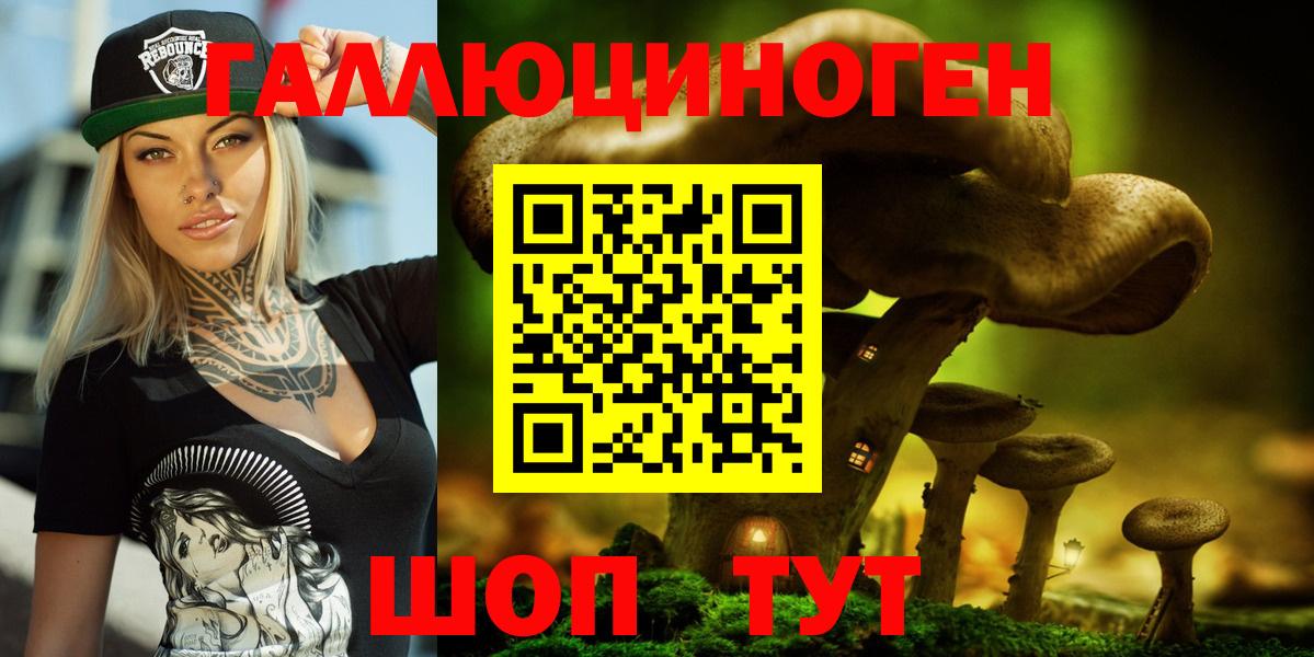 Галлюциногенные грибы прущие грибы  Вход с VPN  Ковров 